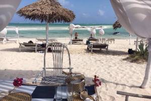 Safina Beach Bar & Grill Restaurant